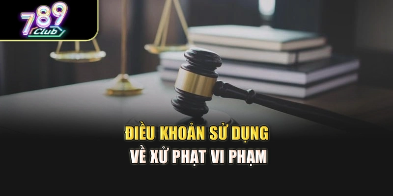 Điều khoản sử dụng về xử phạt vi phạm Điều khoản sử dụng về xử phạt vi phạm